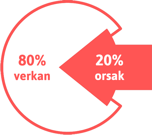 Paretoprincipen, 80/20-regeln