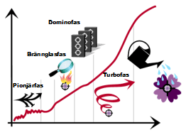 Tillväxtens Faser